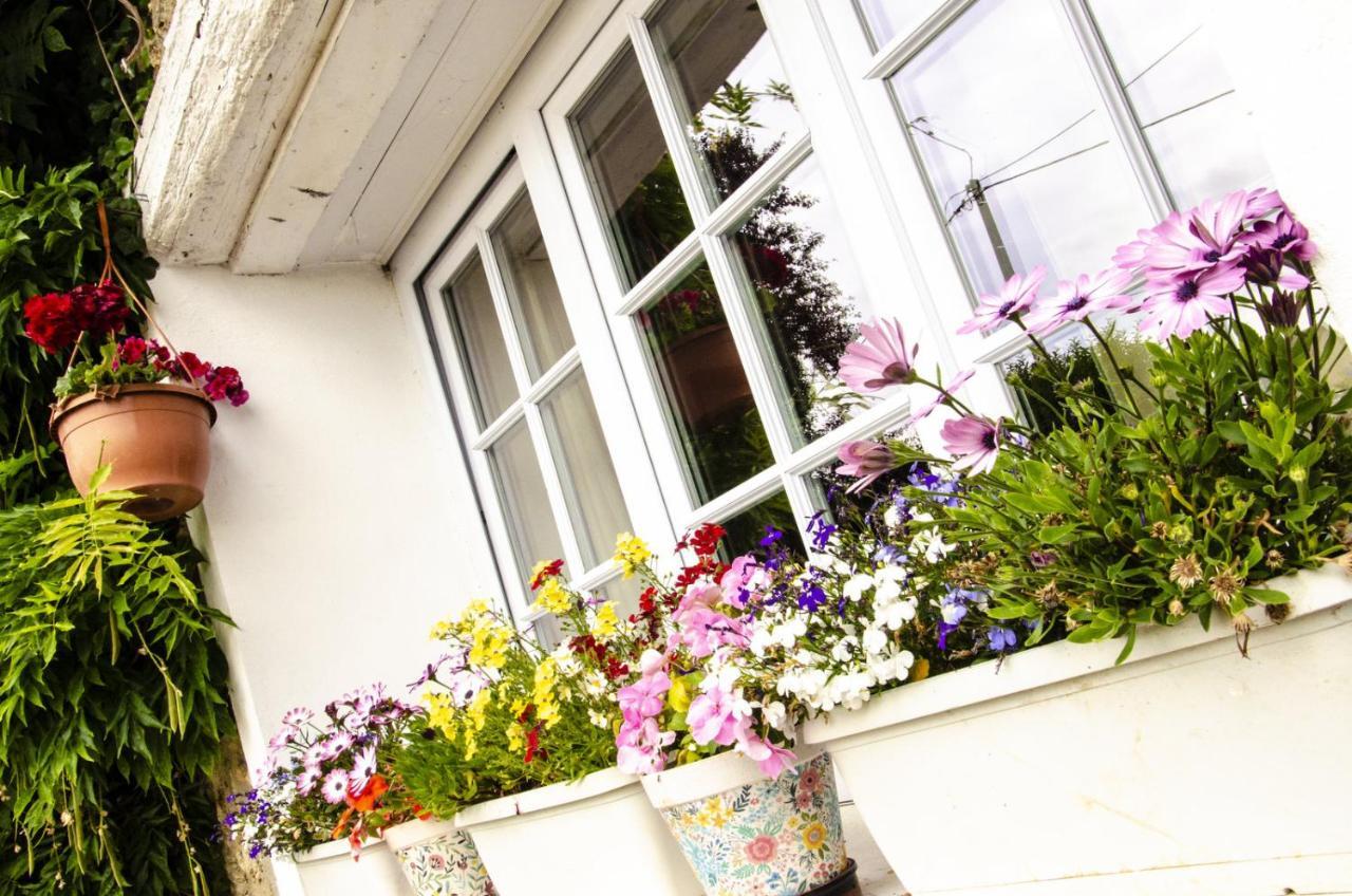 Bed and Breakfast La Grenelle Houlbec-Cocherel Exteriér fotografie